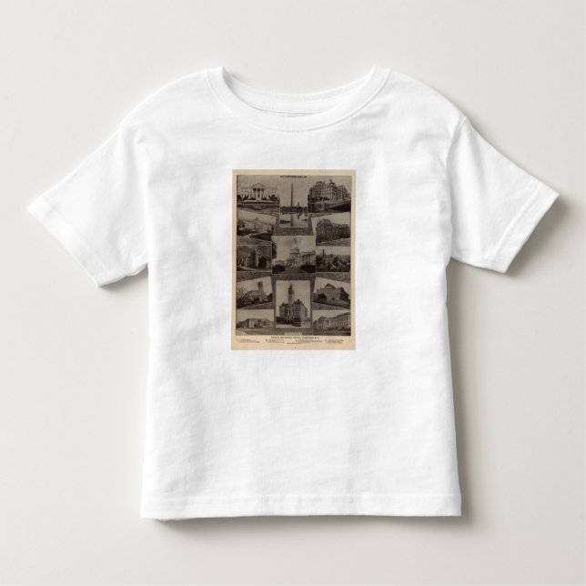 Views Washington, DC Toddler T-shirt (Front)