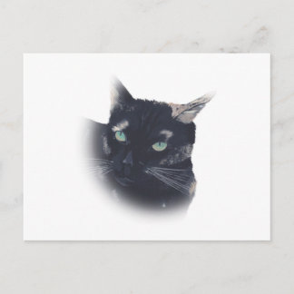Vignette of Tortoise Shell Cat Face Postcards