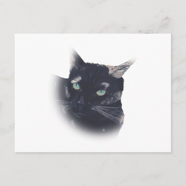 Vignette of Tortoise Shell Cat Face Postcards (Front)
