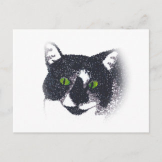Vignette of Tuxedo Cat Face Postcards