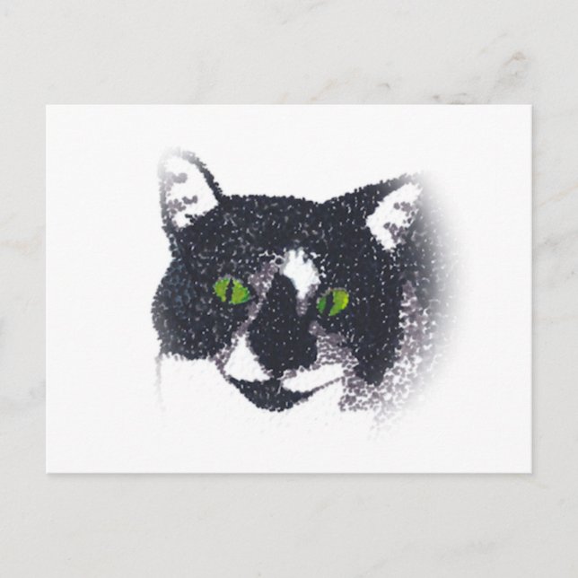 Vignette of Tuxedo Cat Face Postcards (Front)