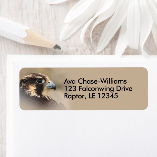 Vignetted Peregrine Falcon Bird of Prey Label (Insitu)