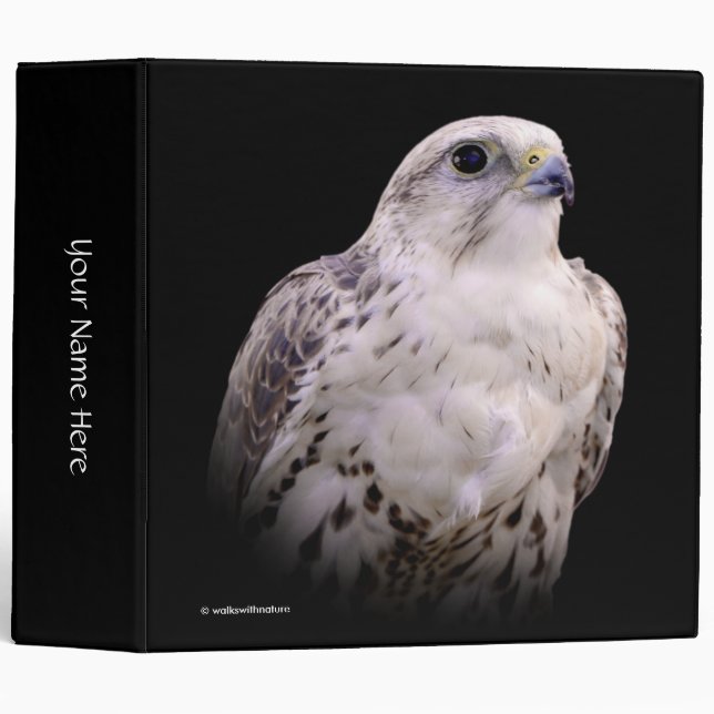 Vignetted Portrait of an Inquisitive Saker Falcon Binder (Front/Spine)