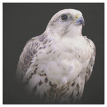Vignetted Portrait of an Inquisitive Saker Falcon Fabric