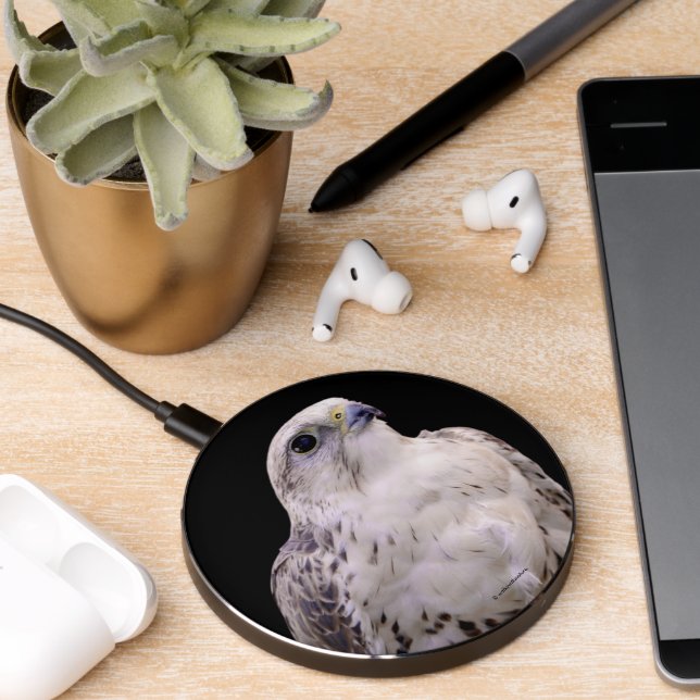 Vignetted Portrait of an Inquisitive Saker Falcon Wireless Charger (Desk 2)