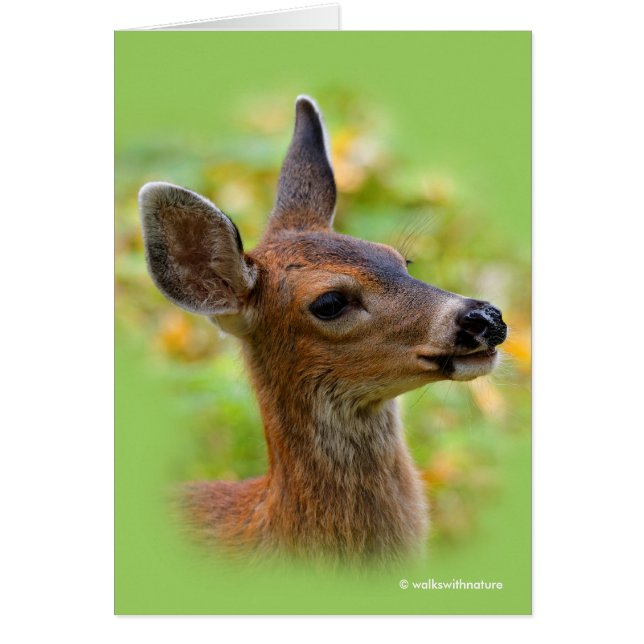 Vignetted Portrait of Smiling Blacktail Deer Fawn  Cards (Front)