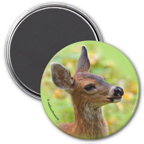 Vignetted Portrait of Smiling Blacktail Deer Fawn  Magnet
