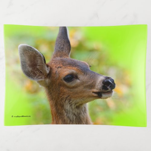Vignetted Portrait of Smiling Blacktail Deer Fawn  Trinket Tray
