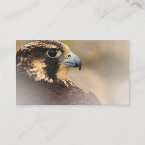 Vignetted Profile of a Peregrine Falcon Business Card