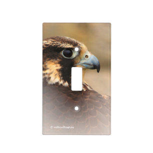 Vignetted Profile of a Peregrine Falcon Light Switch Cover