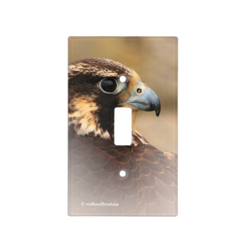 Vignetted Profile of a Peregrine Falcon Light Switch Cover