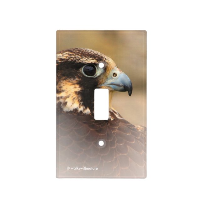 Vignetted Profile of a Peregrine Falcon Light Switch Cover (Front)