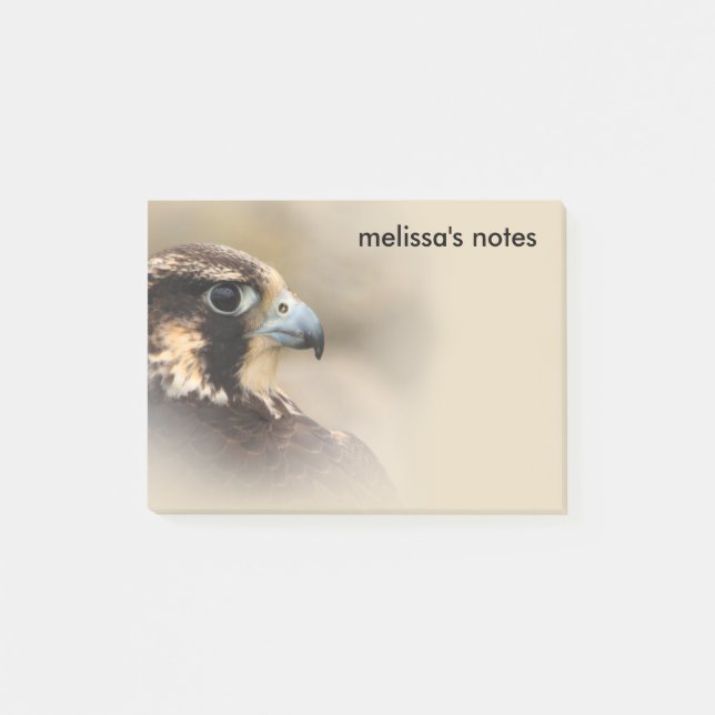 Vignetted Profile of a Peregrine Falcon Post-it Notes (Front)