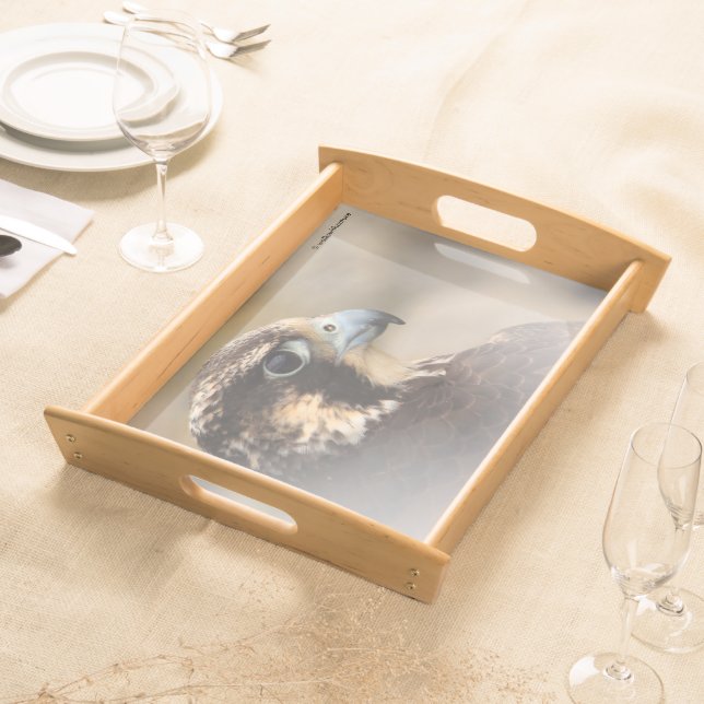 Vignetted Profile of a Peregrine Falcon Serving Tray (Front)