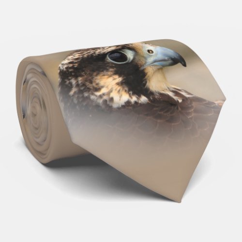 Vignetted Profile of a Peregrine Falcon Tie