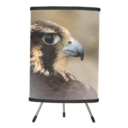 Vignetted Profile of a Peregrine Falcon Tripod Lamp (Front)