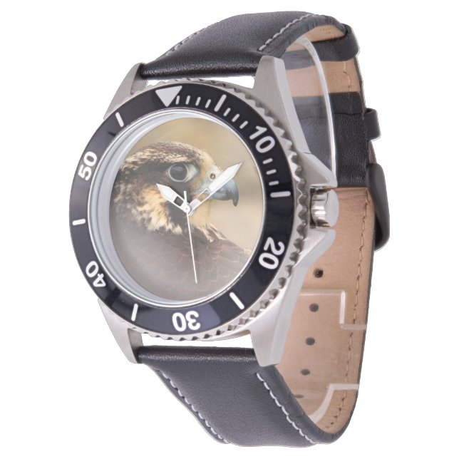 Vignetted Profile of a Peregrine Falcon Watch (Angled)