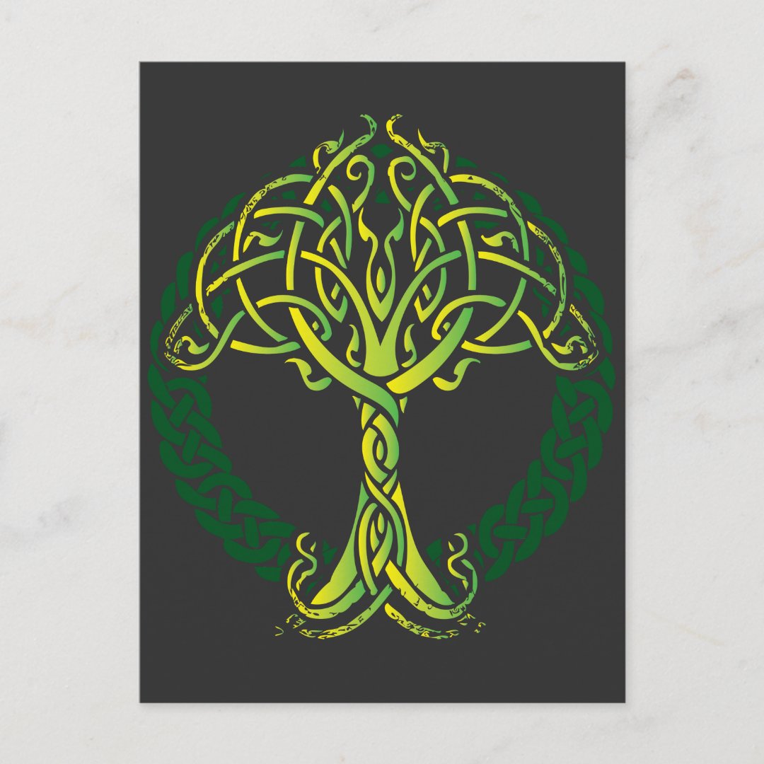 Viking Celtic Knotwork Tree Of Life Postcard | Zazzle