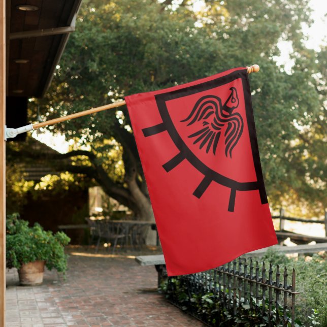Viking Raven Flag  (In SItu)