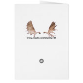 Viking Raven Shield And Weapons (Back)