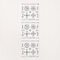 Viking Runes