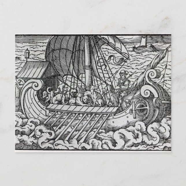 Viking Ship Postcard (Front)