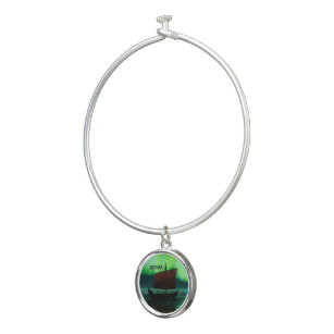 Alex and ani hot sale northern lights bracelet