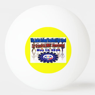 Villa Jacinta 2014 Reunion Ping Pong Ball
