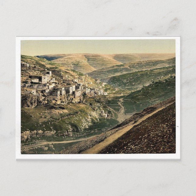 Village of Siloam, Jerusalem, Holy Land rare Photo Postcard (Front)