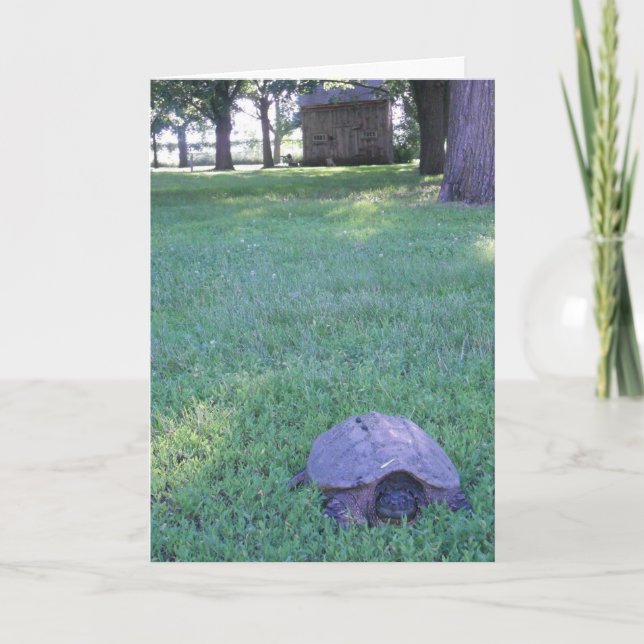 "Village Snapping Turtle" Birthday Card (Front)