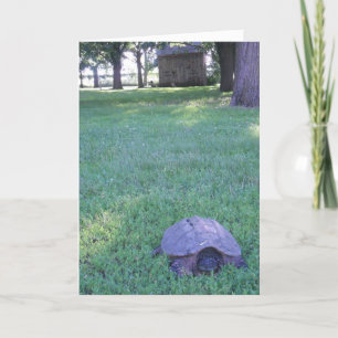 "Village Snapping Turtle" Birthday Card