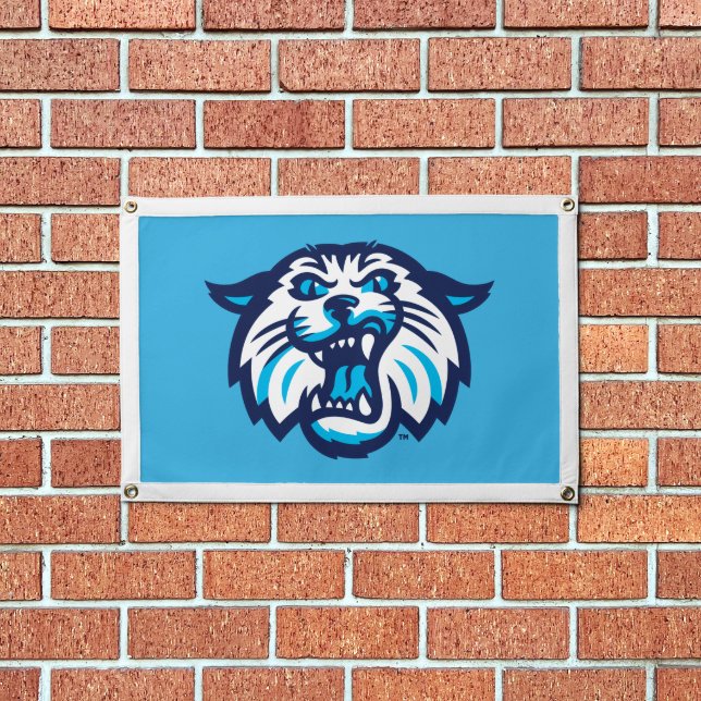 Villanova Wildcats Logo and Wordmark Pennant (Insitu 1)