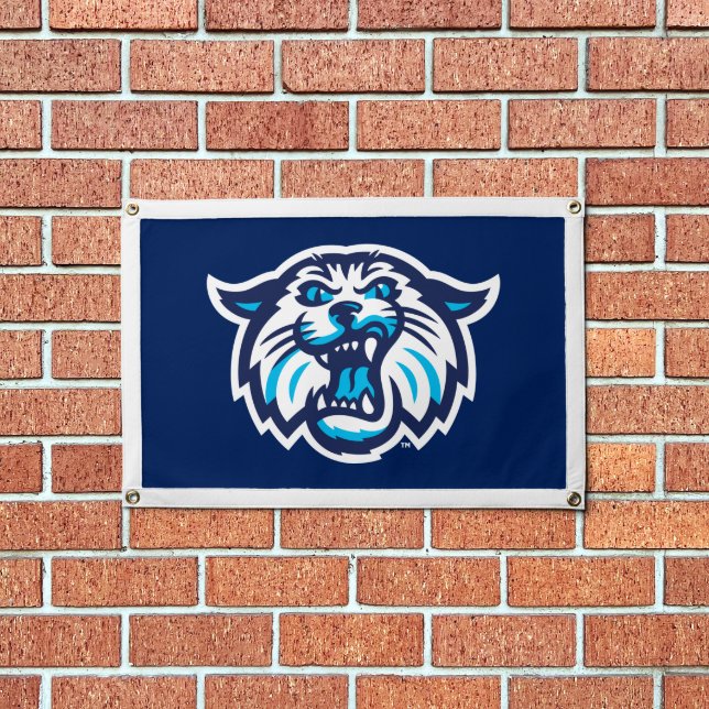 Villanova Wildcats Logo and Wordmark Pennant (Insitu 1)