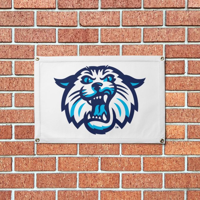 Villanova Wildcats Logo and Wordmark Pennant (Insitu 1)