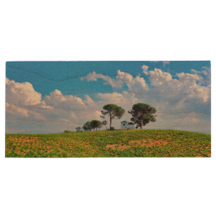 Viña de Los Pinos Wood Flash Drive