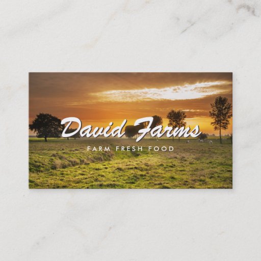 Customizable VINAGE TYPE with FARM PHOTO for FARMERS, CHEFS Business Card Templates
