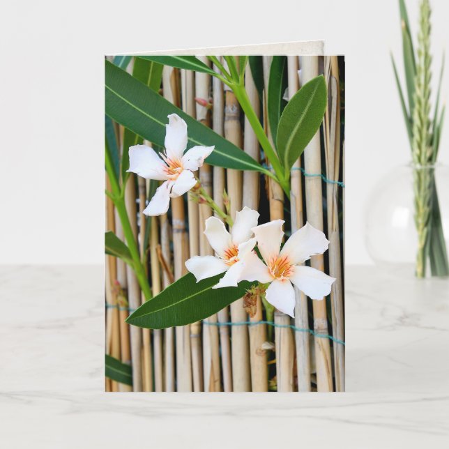 Vinca flower on bamboo fence Sympathy Card (Front)