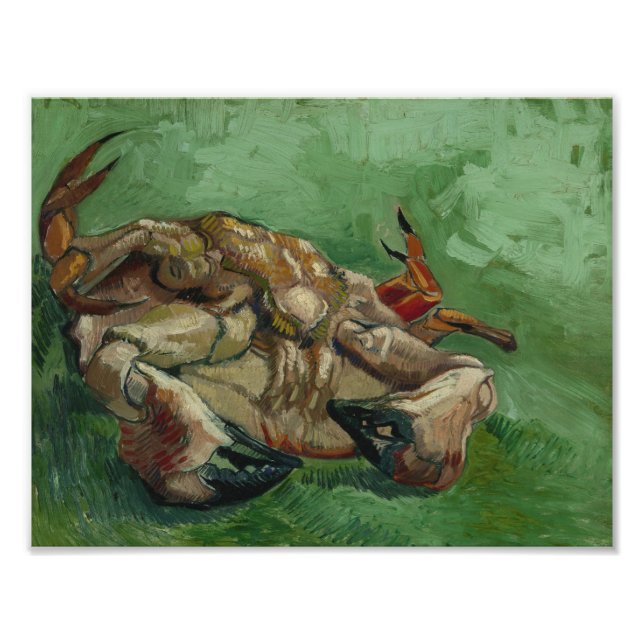 Vincent van Gogh - A Crab on its Back Photo Print (Front)
