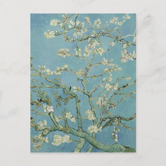 Vincent Van Gogh Almond Blossom Floral Painting Postcard (Front)