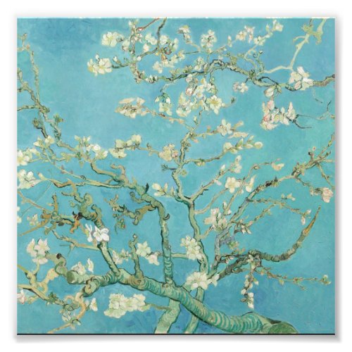 Vincent van Gogh _ Almond blossom Photo Print