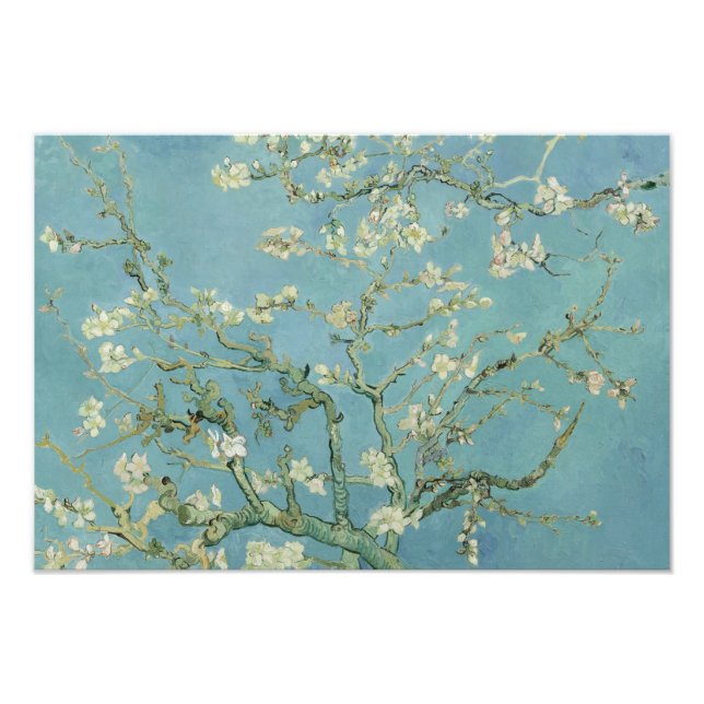 Vincent van Gogh - Almond Blossom Photo Print (Front)