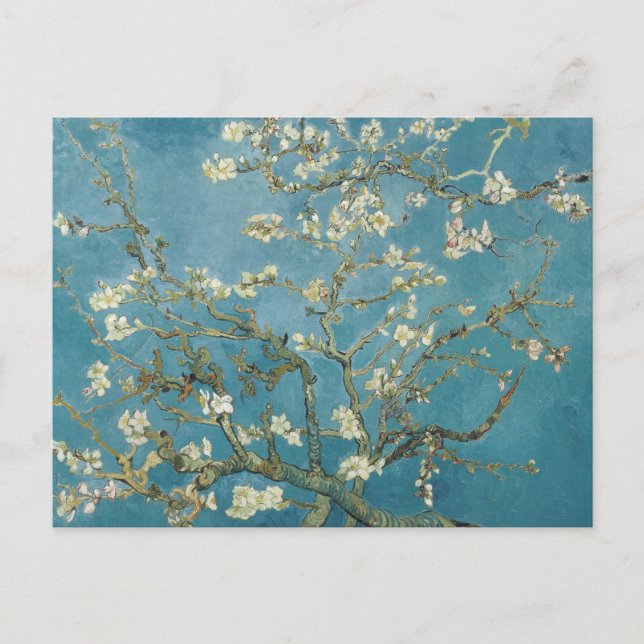 Vincent van Gogh Almond blossom Postcard (Front)