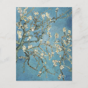 Vincent van Gogh   Almond branches in bloom, 1890 Postcard