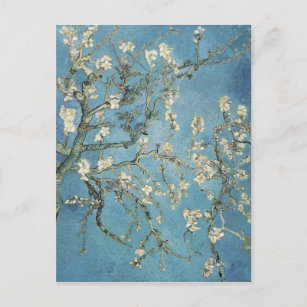 Vincent van Gogh   Almond branches in bloom, 1890 Postcard