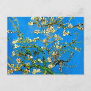 Vincent Van Gogh - Blossoming Almond Tree Fine Art Postcard