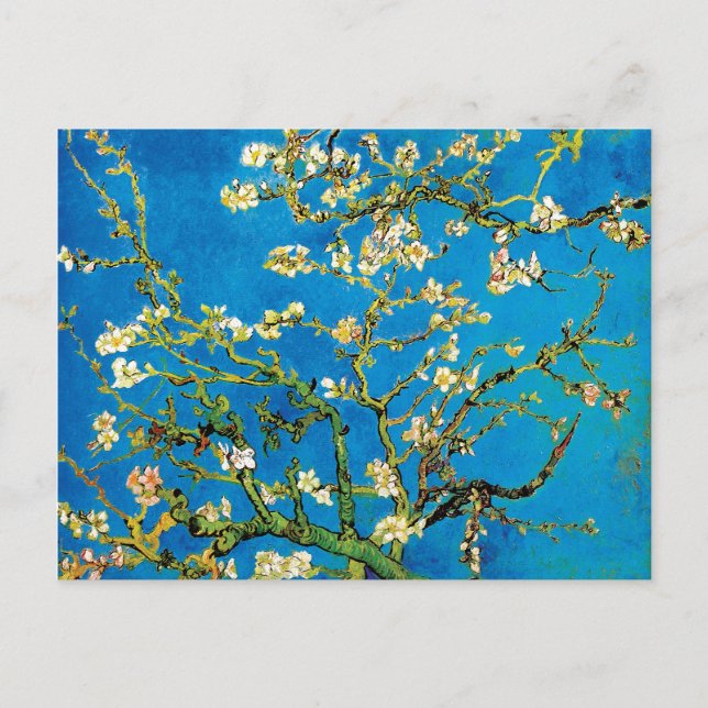 Vincent Van Gogh - Blossoming Almond Tree Fine Art Postcard (Front)