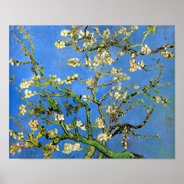 Vincent Van Gogh - Blossoming Almond Tree Fine Art Poster (Front)