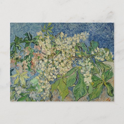 Vincent van Gogh  Blossoming Chestnut Branches Postcard