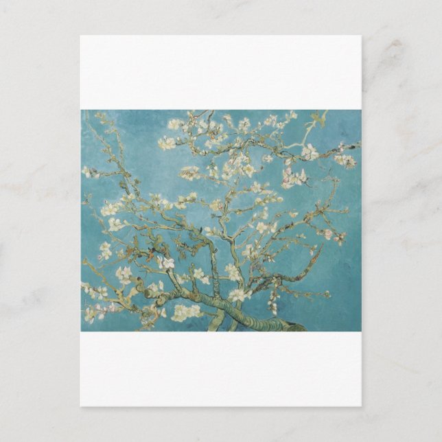 Vincent Van Gogh Branches of Almond Tree Postcard (Front)