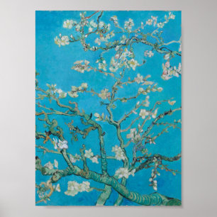 Vincent Van Gogh - Branches with Almond Blossom, Poster